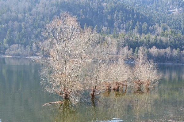 Lac de Kruth-Wildenstein Fanny HEINZLE