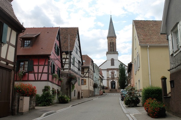 Affenberg Montagne des Singes Elsass